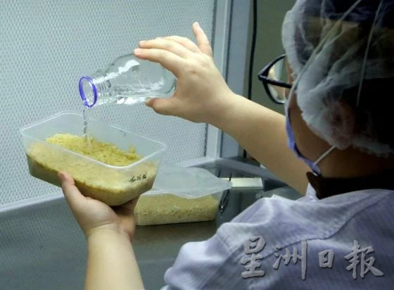 【菇菌经济学/03】把传说变成产业,开创虎乳芝功能性菇菌的蓝海