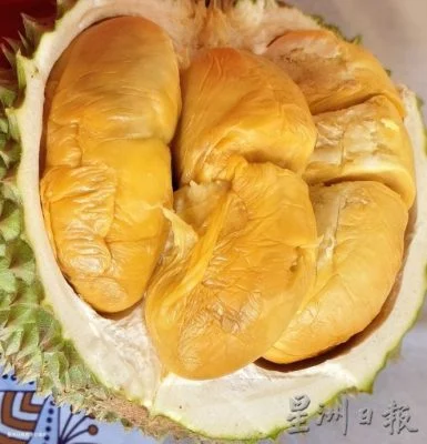 全国:乡村黑刺世榴赛封冠 打破老树才出佳品迷思