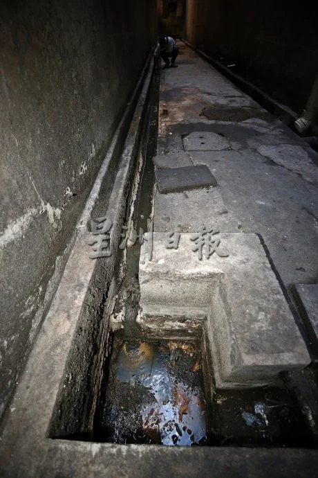 18/7(大北马)星角摄/防范骨痛热症 防蚊灭蚊你我有责