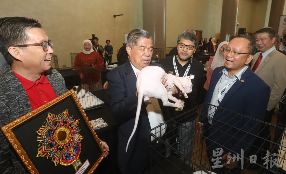 已上网请再取代//(完整稿)末沙布:获得粮食是基本人权不是特权 我们不能对巴勒斯坦人道危机视而不见