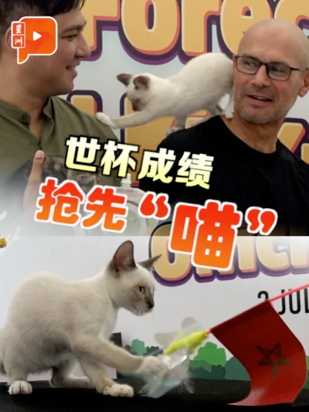 百格｜毛孩预言家测世杯成绩 雪SPCA新招促领养猫狗
