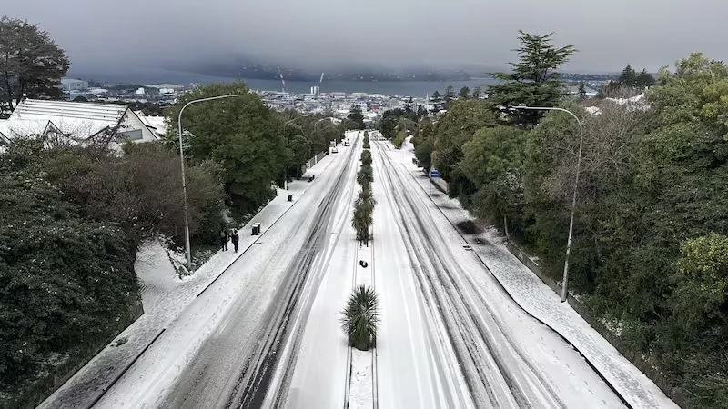 南极寒流席卷纽西兰南岛 道路封闭学校停课