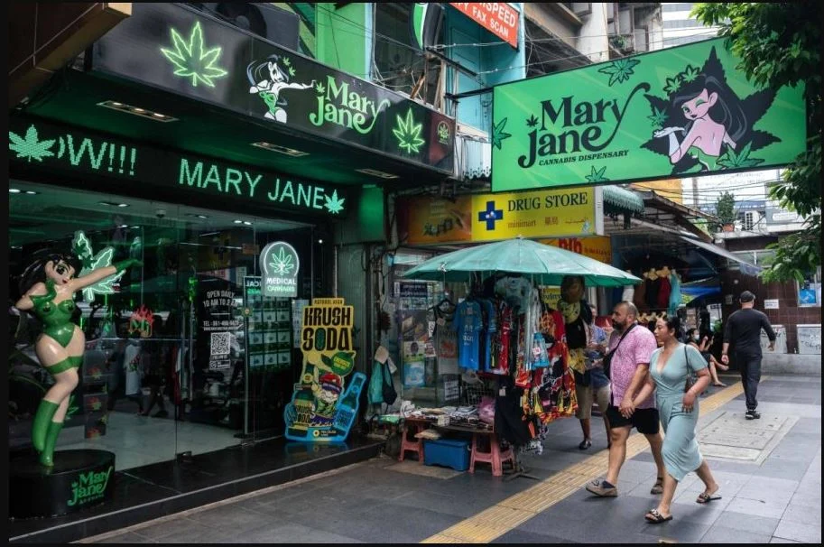 泰政府拟立法重整大麻乱象 限医疗用途全面禁娱乐吸食
