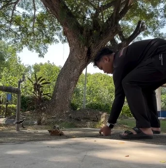 男子掀盖救犬引近千万浏览 遭酸民质疑摆拍怒斥:我没疯到虐狗