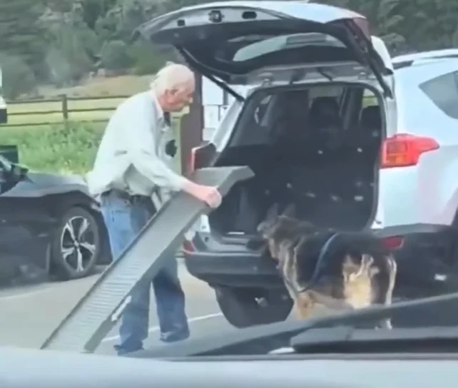 视频|老人与狗一起变老! 爱犬走不动 他搭斜坡陪它慢慢上车