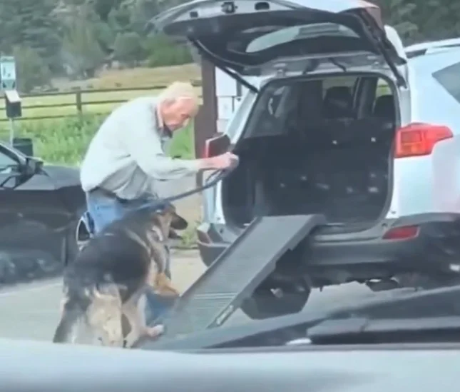 视频|老人与狗一起变老! 爱犬走不动 他搭斜坡陪它慢慢上车
