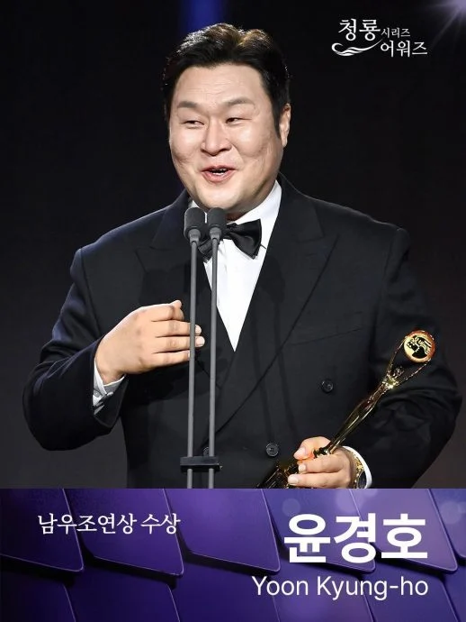 青龙电视剧大赏| 金高恩首夺大赏掉泪 朴海秀击败玄彬封视帝