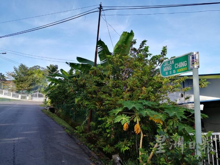闽清路一带早年聚居着多位成功的福州企业家。（图：蔡羽）

