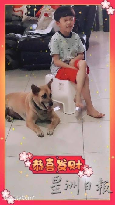 Alice Tan希望狗狗可以多陪伴过更多个新年。