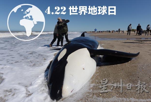(图:法新社) (图:法新社)