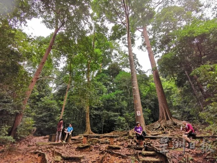 南峇山除了是小镇居民的运动场所,也是乡土教育的基地。