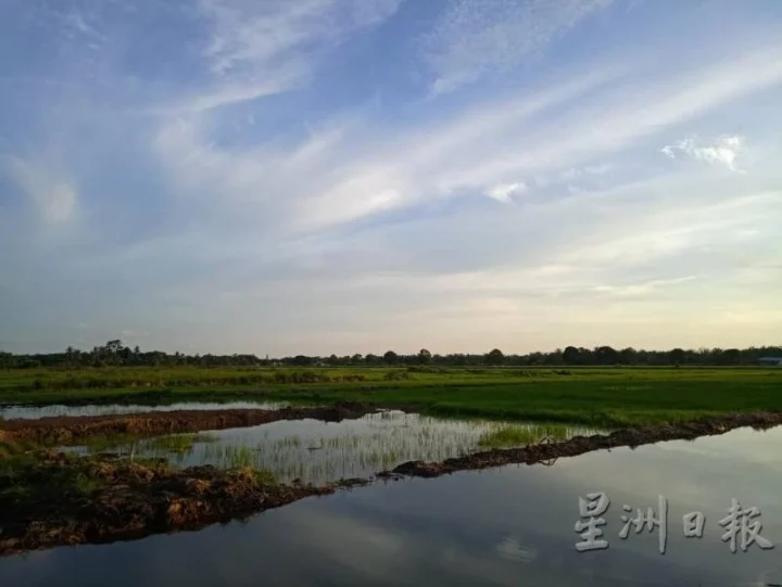 亚依淡有“小适耕庄”雅称,绿油油的稻田,风景宜人。