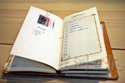 旅行者笔记本：许多手帐爱好者都会有一本旅行者笔记本，外形瘦长，使用者可依照个人喜好而进行DIY，例如加设袋子以存放卡片，或者套入两到三本内页本，即可选择横线、点正等内页，不喜欢受局限的人则倾向于选择空白的内页本，然后画出自己想要的表格、代办清单（To Do List）、打卡习惯等，把它变成独一无二的笔记本。有的手帐爱好者喜欢在笔记本加入照片、收据等，使之越来越厚。当笔记本写满后，就可更换新的内页，而皮革封面则可重复使用。