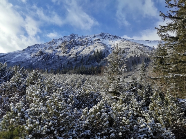 11月底的Morskie Oko开始下雪,沿途被白雪覆盖的山峦、树林景观,美得极之梦幻,非常疗愈。