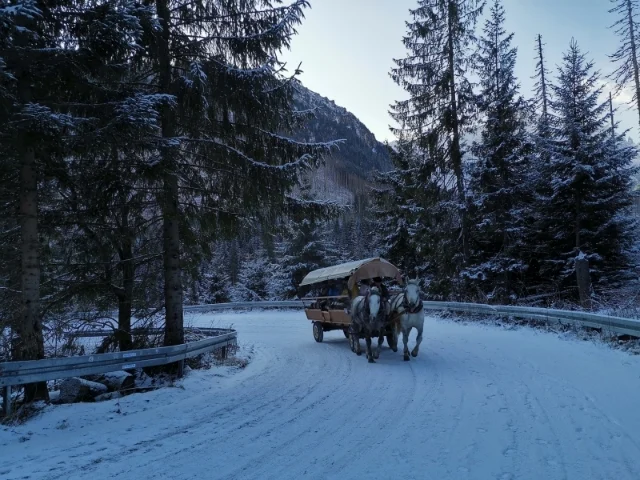 除了步行，也可付费乘坐当地高地人经营的马车去Morskie Oko。

