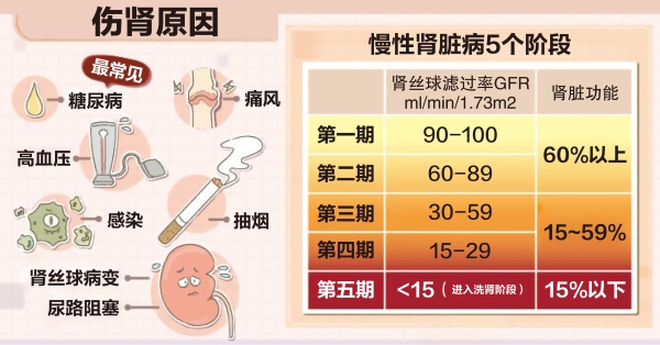 chronic-kidney (2).jpg
