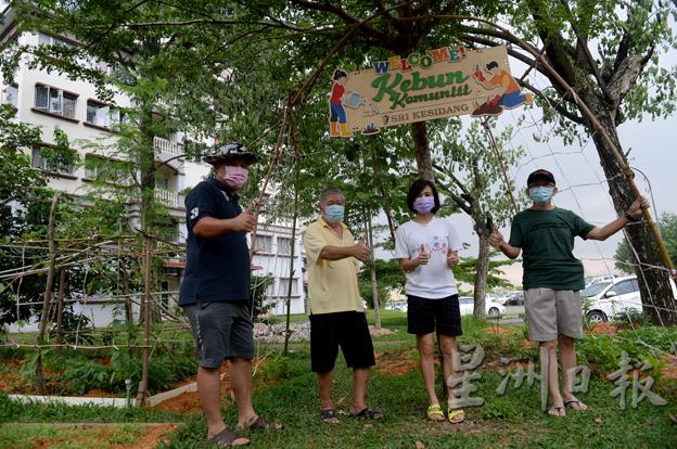 2020年10月,佳景阁公寓成立社区菜园(Kebun Community),营造共享互助的社区,让公寓范围内的草坪注入绿意和生气。 2020年10月,佳景阁公寓成立社区菜园(Kebun Community),营造共享互助的社区,让公寓范围内的草坪注入绿意和生气。