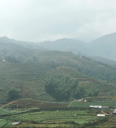回程中发现的连绵青山和蜿蜒的梯田。 回程中发现的连绵青山和蜿蜒的梯田。